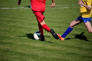 中国米兰体育-中国足球年度训练项目与技战术实战匹配，中国足球队战术