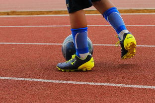 米兰体育官方网站入口-篮球运动员心理健康支持体系构建，篮球运动员心理健康支持体系构建方案