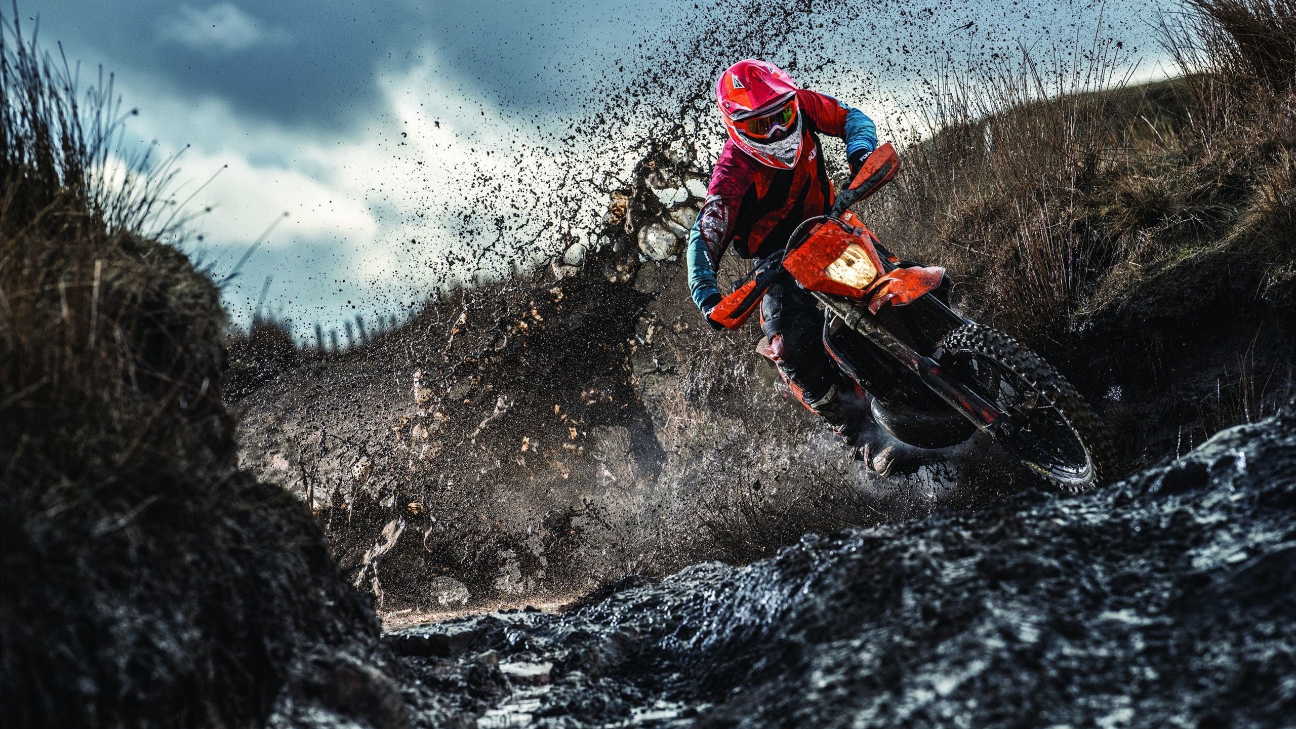 综合体育系“防身术实战演练赛” 真实情景模拟评分